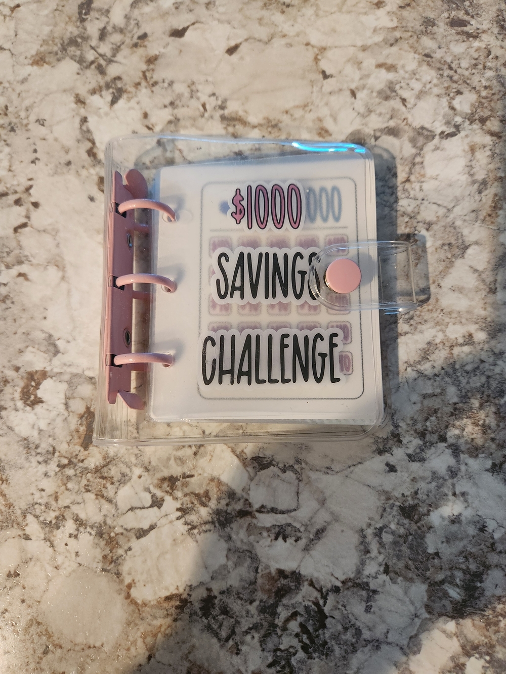 $1000 Savings Challenge Clear Binder with Pink Accents
